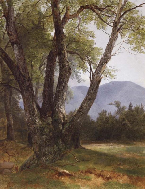 Asher Brown Durand Shandaken,Ulster County